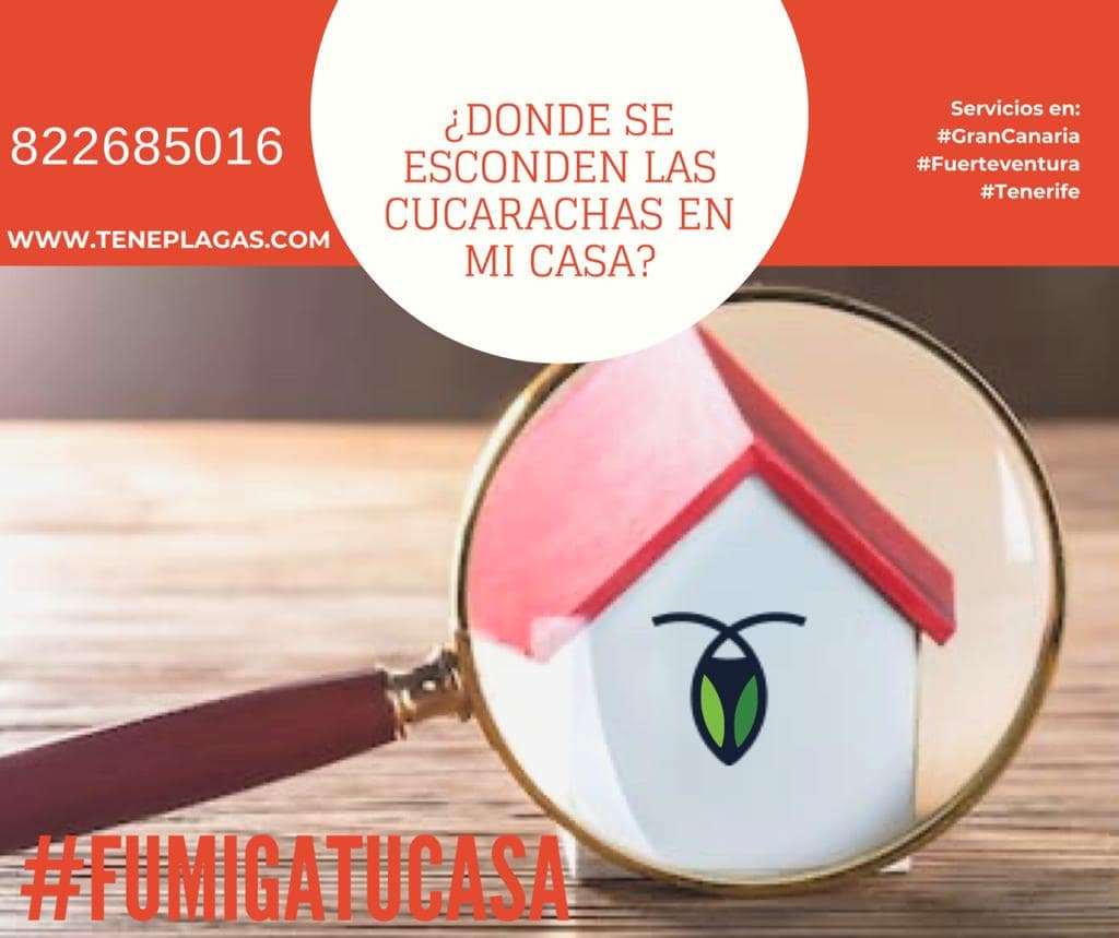 Donde se esconden las cucarachas en mi casa