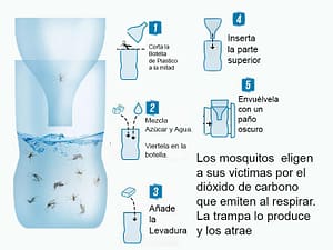 Trampa para mosquitos casera