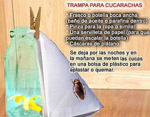 trampa casera para cucarachas