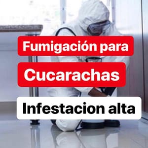Tratamiento fumigación de cucarachas (infestación alta) 1 Año de Garantía