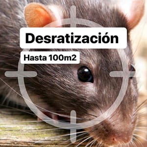 Desratización en vivienda de hasta 100 m2