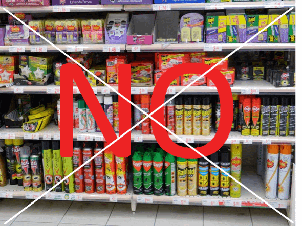 no dejar restos de comidas a las hormigas