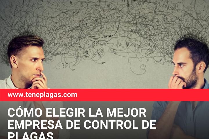 Elegir la mejor empresa de control de plagas